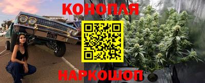 дмт Изобильный