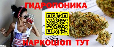 гидропоника Ирбит