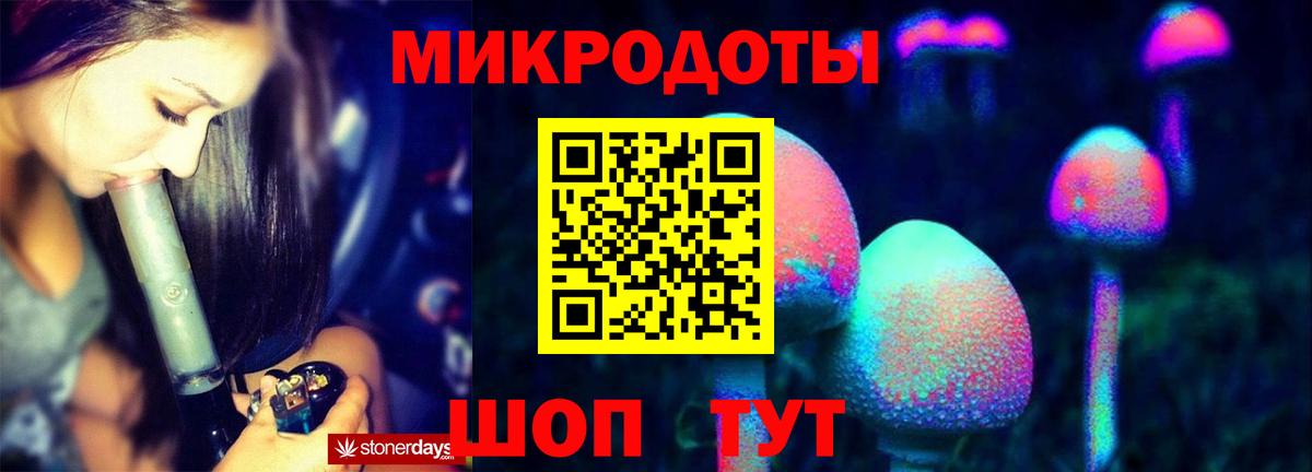 Буйнакск  Псилоцибиновые грибы Psilocybine cubensis  Вход с VPN 